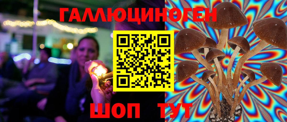 Нурлат  Галлюциногенные грибы Cubensis  Галлюциногенные грибы прущие грибы  Вход с VPN 